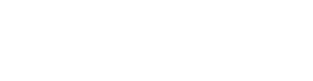 Financiado por la Unión Europea